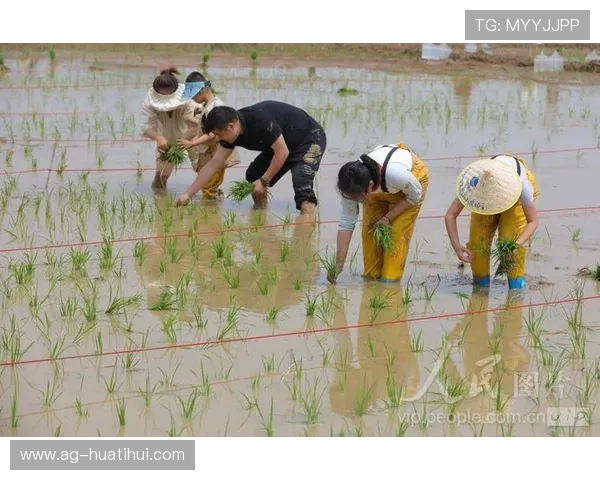 华体会登入口便捷登录方式介绍,支持多设备多平台快速进入 华体会登入口便捷登录方式介绍,支持多设备多平台快速进入