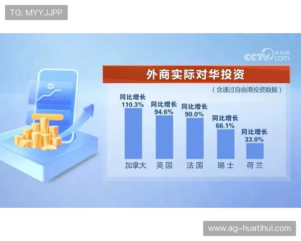 提高hth华体育官方入口使用效率的实用技巧介绍